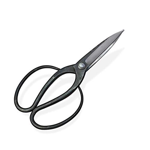 A ͂ nT~ uہvt^  | 4 n