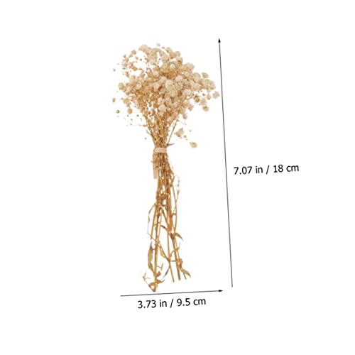 Ramo de flores secas Babysbreath 10 paquetes beige miniatura 6