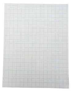 School Smart 85279 Graph Papier doppelseitig