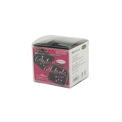 BEAUTY NAILER サロンシャーレ SSC-2 チャコール