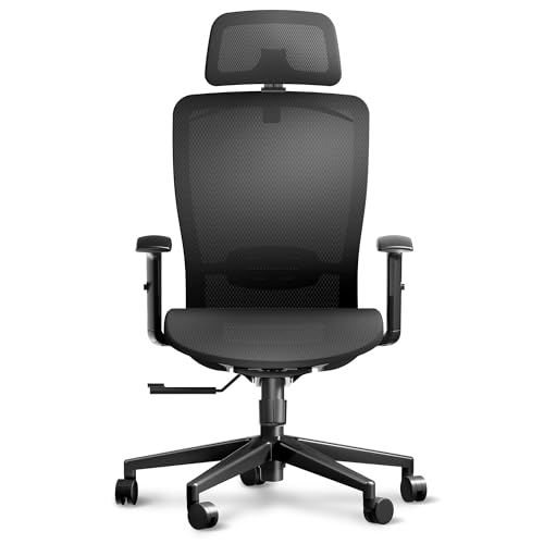 ErgoChair Pro Ergonomic Office Chair, Swivel Computer Chair, Home...