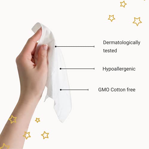 Happy-Little-Camper-99-Natural-Baby-Wipes-with-Aloe-Vera-Chamomile-and-Pomegranate-Extracts-Chlorine-Free-Unscented-Biodegradable-Gentle-Hypoallergenic-and-Dermatologically-Tested-216-Count