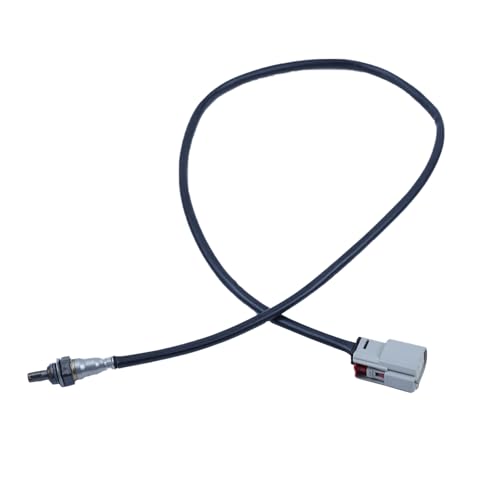 Sensor de Oxígeno Calefactable O2 Compatible con Harley Davidson miniatura 1