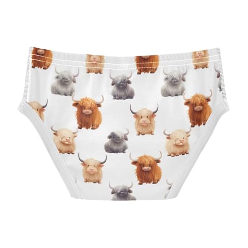 Boys' Exclusive Briefs Toddler Underwear 95% Combed Cotton Boxerbriefs 2T Highland Cow Pattern 42