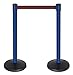 QueueWay PLUS - QPLUS-23-R7 - blue post, 2" wide, 10