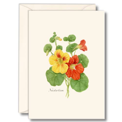 Image of Earth Sky + Water - Nasturtium Notecard Set - 8 Blank Cards with Envelopes