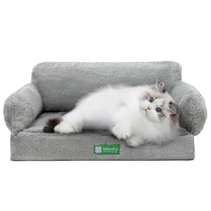 MEWOOFUN Cat Bed for Indoor Cats Orthopedic Dog Bed for Small Medium Dogs, Egg- Foam Pet Bed with Removable Washable Cover and Non-Slip Bottom (Medium, Grey)