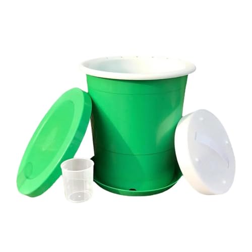 Plateau de germination hydroponique Plateau de germination de semis de haricots Plateau de culture d'herbe à chat Pot de plantation sans sol for le jardinage intérieur Plateau de germination Conteneur