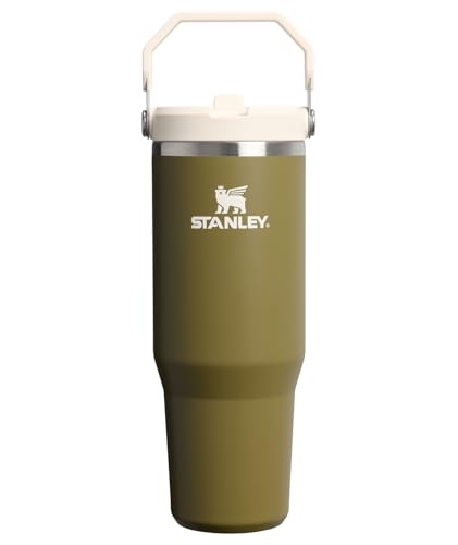 Stanley IceFlow 2.0 Flip Straw Tumbler with Handle 30 oz | Twist ...