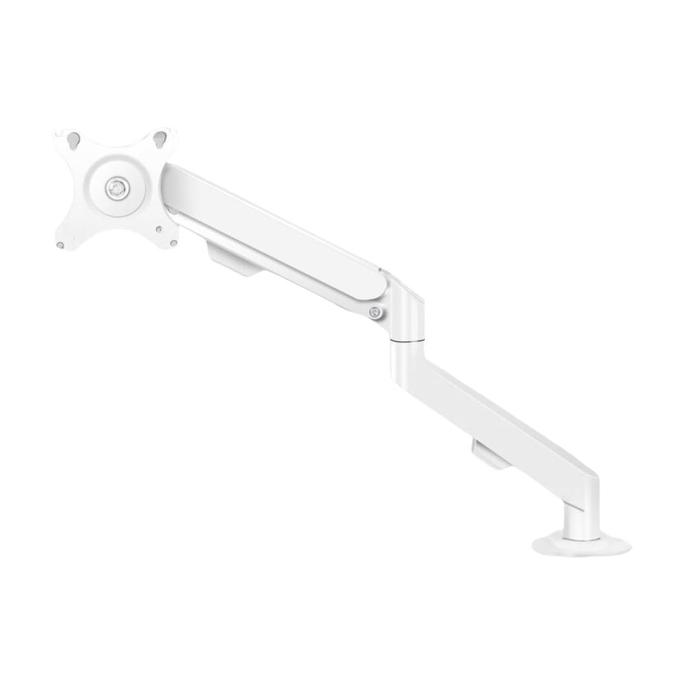 Disponibilità di supporto(17-30 inch-Portable screen-0-6KG white)