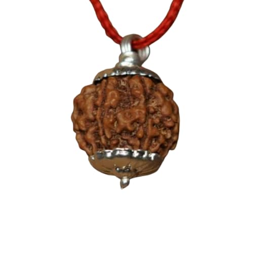5 Mukhi Rudraksha Original Certified 5 Face Rudraksha with Silver Capping 5 Mukhi Rudraksha Nepali Blessed By Lord Shiva Panchmukhi Rudraksha Original 5 Mukhi Rudraksha Pendant