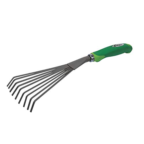 Ribiland 02979 Escoba para Hoja Gris