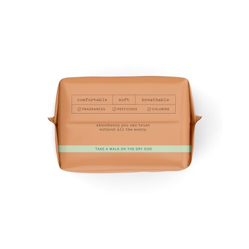 The Honey Pot Company - Herbal Panty Liners for Women - Incontinence Organic Panty Liners w/Wings - Infused w/Essential Oils for Cooling Effect - Postpartum Essentials - Feminine Care - FSA - 20ct