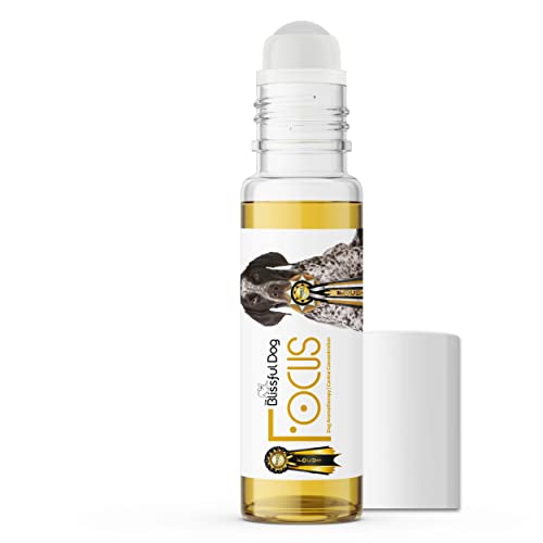 The Blissful Dog German Shorthaired Pointer Focus Dog Aromatherapy for Canine Concentration