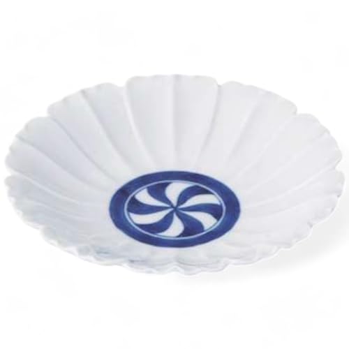  Lc 16cm M tQԌ^5.5M {