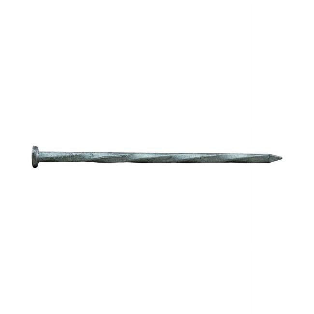 2 in. 1 lbs Hedge Siding Nail
