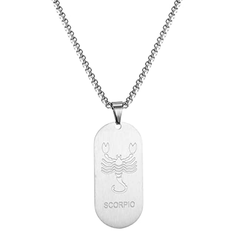 AFSTALR Collier Signe Astrologique Scorpion Pendentif Argent Zodiaque Collier Cadeau de Noël Hommes