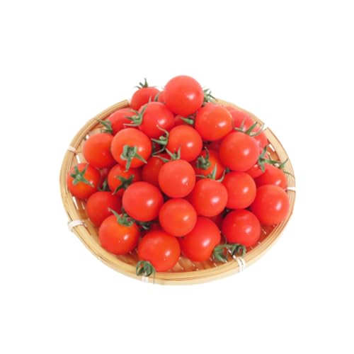 ミニトマト サンチェリー 1kg 福島県 田村市 GREEN for TABLE