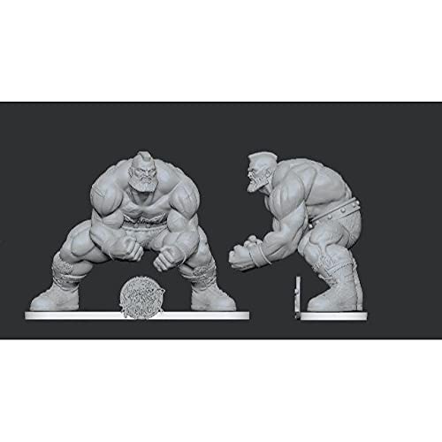 1/6 スケールストリートファイターズザンギエフ　ガレキ （未組み立て未塗装） Amazon | 1/6 スケールストリートファイターズザンギエフ ガレキ