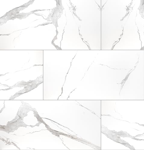 MSI Eden Statuary 24x48 Porcelain Slab
