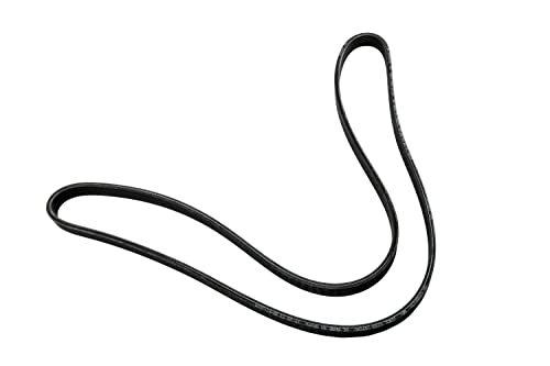 Courroie serpentine ACDelco 12585151 GM pour remplacement de courroie d'accessoire