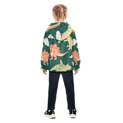 GuoChe Dinosaurs and Clouds Boy Fleece Jacket4