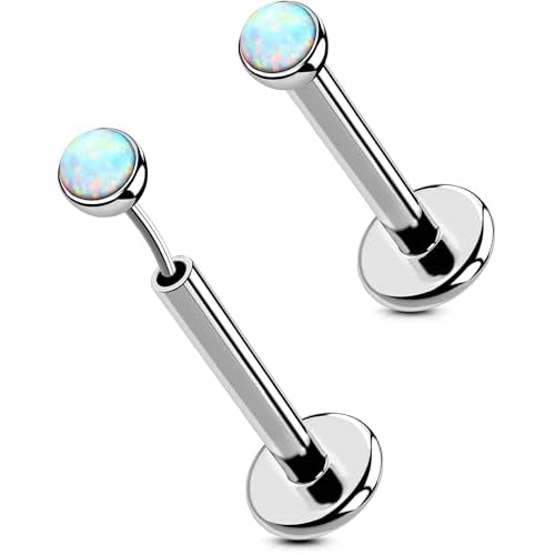 OUFER 2PCS 16G/20G Nose Lip Studs, G23 Solid Titanium Threadless Push in Nose Nostril Lip Labret Medusa Monroe Helix Cartilage Tragus Conch Lobe Piercing Jewelry for Women Men Silver bar, Op