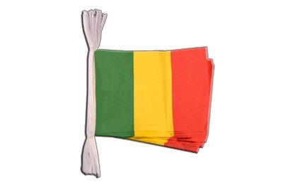 Guirlande drapeau Mali de 5,9 m pour fête culturelle et décoration de salle
