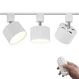 KAYYELAMP Set of Three LED Spot Light 9W H-Type Track Rotated Adjusting Angle Dimming Remote Control