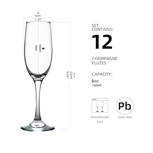 Yangnay XBB-01 Champagne Glasses, Champagne Flute Glass Set Of 12 thumb #1