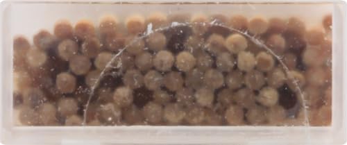 Miniatura 10 de Palillos con saber a té y menta de Tea Tree Therapy Paquete de 212 Árbol de té 12 12