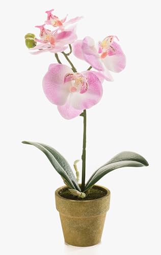 artplants.de Orchidée Artificielle Phalaenopsis, Rose, 25cm