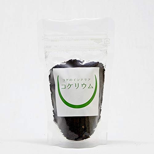 RP̃CeA RPE py eE ۖ~ ꍻ RPEp\C ~j~j