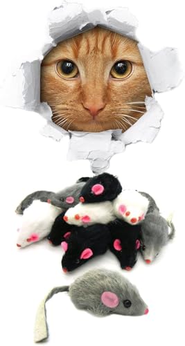 Yjemle Katzenspielzeug mit Rassel, Katzenspielzeug, Mäuse, Tierspielzeug, Haustierbedarf, pelziges Spiel-Kombi, Katzenspielzeug-Mix, Grau, 5 Stück