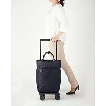 ⭐️未使用⭐️スワニーキャリー　シテーロVI (L21) 楽天市場】スワニー シテーロの通販