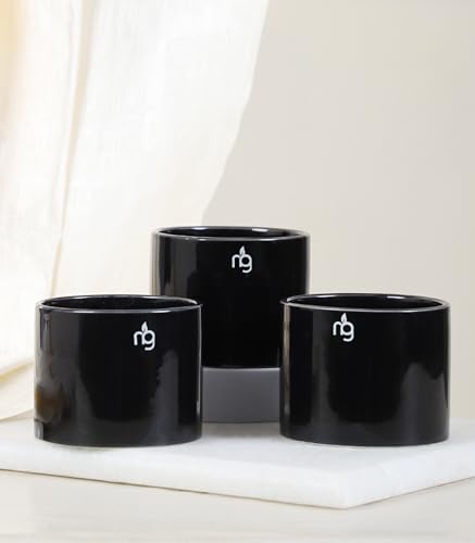 Image of Nurturing Green Combo of 3 Black Ceramic Pots |Flower Pots for Home Decore (Size: 3.5 Inch Wide*2.8 Inch High)