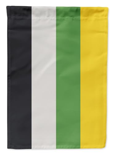 Drapeau Skiliosexual Pride grand format pavillon extérieur résistant aux UV et intempéries