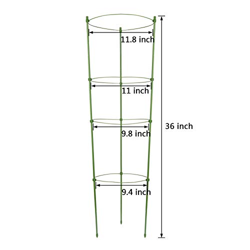 OCEANPAX 3 Pack Plant Support Cages 36 Inches Plant Cages with 4 Adjustable Rings