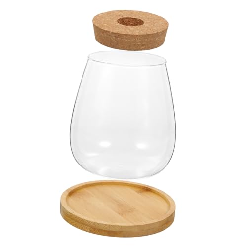 POPETPOP 1 Juego jarrones a Granel ollas de Interior Porta Plantas Transparente frascos Grandes decoración Oficina suculentas candelero suculento candelabro de Vidrio Transparente Madera