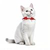 FURRYUMI 1 PC Bat Wing Cat Collar with Bell, Adjustable Kitten Collar with Safety Breakaway Buckle for Boy&Girl Cats, Halloween Christmas Cat Accessories for Kitten Puppy #1