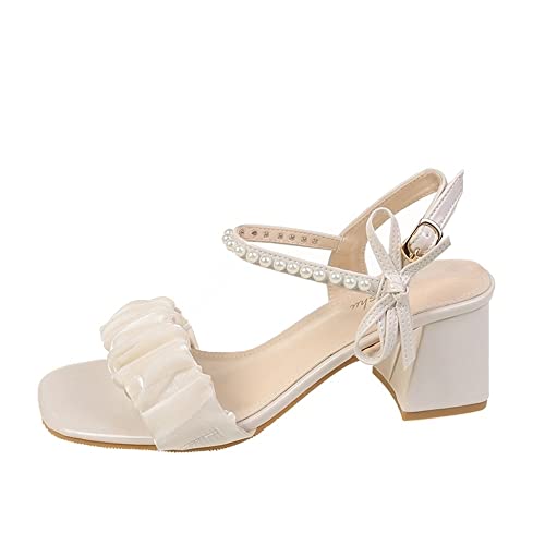 [Oy] nCq[ fB[X T_ V[Y pvX JWA ėp ̎qC tbgV[Y ItBXT_ y ₷ ʋC  ~ ₷ ʋ ʊw l p[eB[  (^, measu