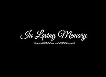 In Loving Memory: Funeral Memorial Guest Book In Loving Memory with Lines for Names Address Thoughts Memories Messages Guest Books for Memorial ... Guest Book ideas decorations supplies)