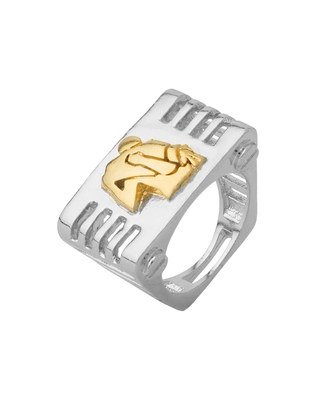 Dare by Voylla Aquarious Rashi Symbol Designed Ring Jewelry Gift for Him, Boy, Men, Father, Brother, Boyfriend