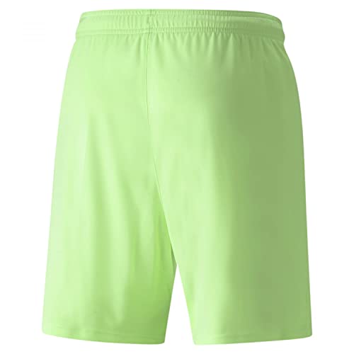 Image of Puma Men Shorts
