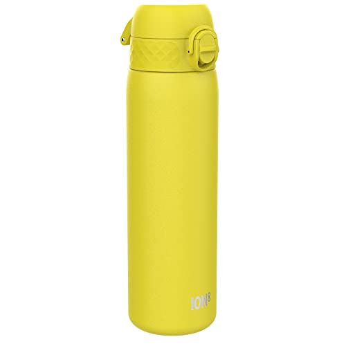 ION8 Vacuum Insulated Steel Water Bottle, 500 ml/17 oz, Leak Proof, Easy to Open, Secure Lock, Dishwasher Safe