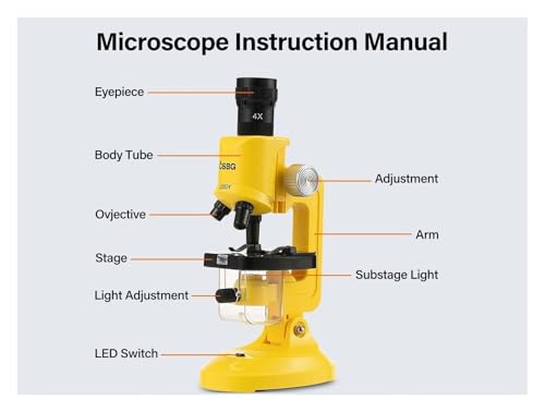 Microscope pour enfants portable LED pour explorer la nature dans le jardin - 3