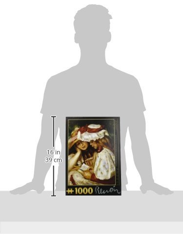 D-Toys Puzzle 1000 Pezzi Pierre Auguste Renoir - Due Giovani Ragazze Che Leggono, DT66909-RE-02 - 6