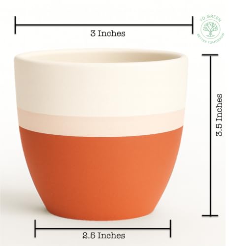 Image of Yo Green Ceramic Pot Indoor /Outdoor Plant - Modern Planter for Home and Office, Durable Ceramic, Stylish Finish with Vertical Ridges, Great Gift Idea (2, White /Peach)