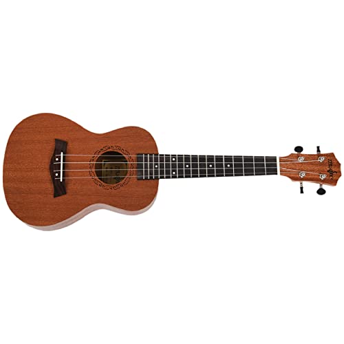 Qutsvosh Ukulele de concert 4 cordes Hawaiian Mini guitare Instruments de musique pour debutants (23 pouces) - Les Beatles, Paul McCartney, John Lennon, RIngo Starr, George Harrison Qutsvosh Ukulele de concert 4 cordes Hawaiian Mini guitare Instruments de musique pour debutants (23 pouces)