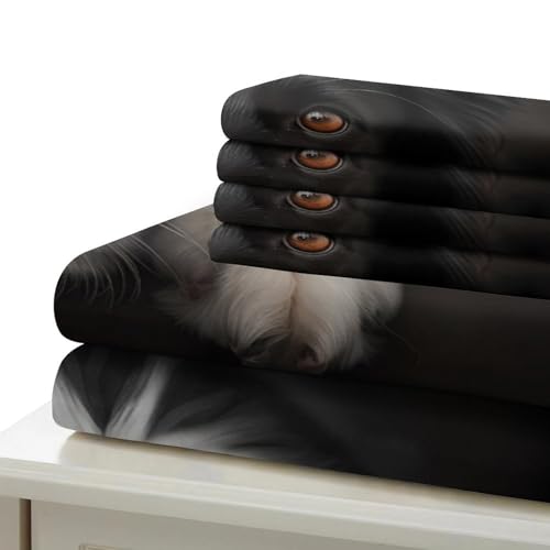 Chat américain parure de lit 3D housse de couette double microfibres 200x200